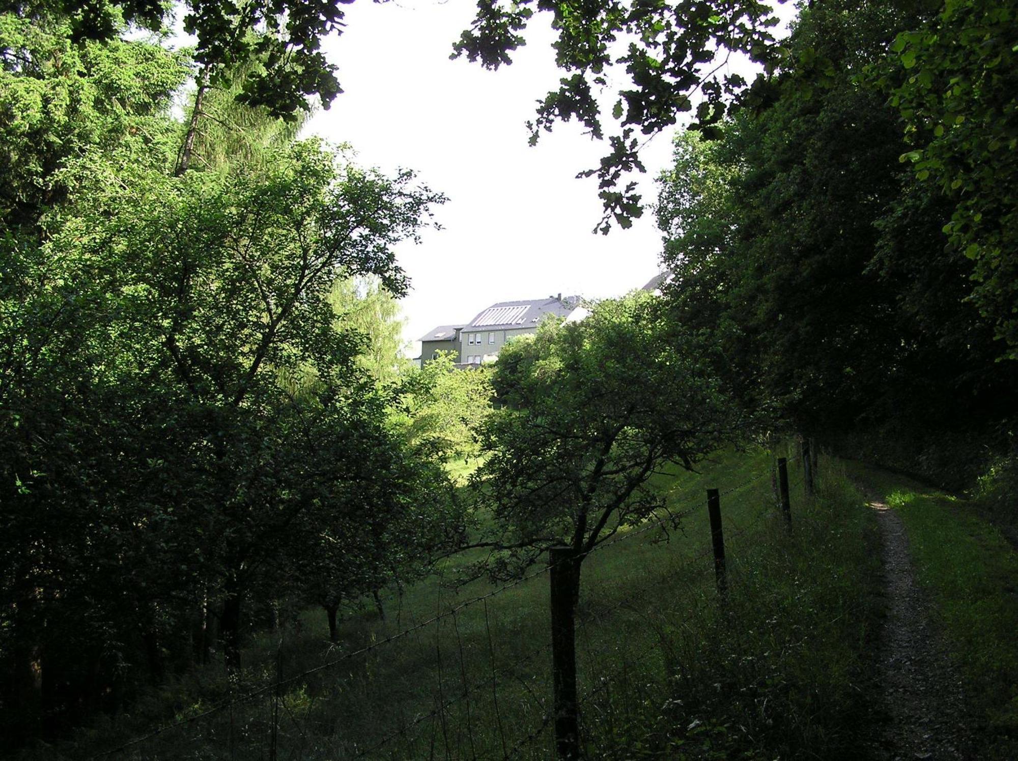 Ferienwohnung Nisius Geisfeld  Buitenkant foto